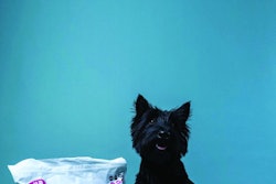Cover Article