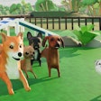Metaverse Dog Park