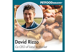 Sound Cloud Cover Art 800x800 David Rizzo