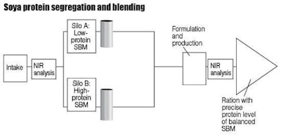 0605FInirnetworked_graph2