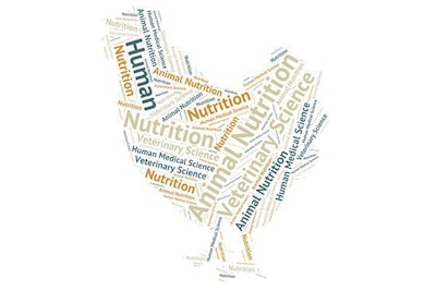 1511 P Ipoultryguthealth1