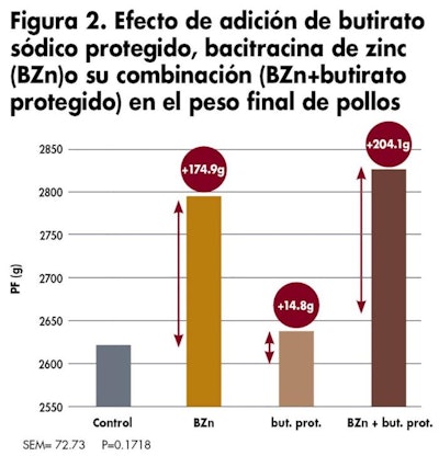 1512 I Abutirato Fig2