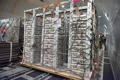 air-freight-chicks-2