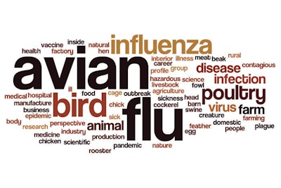 Avian-influenza-word-cloud