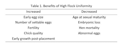 Cobb High Flock Uniformity