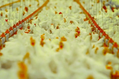 Crowded Broilers