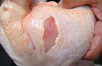 Damaged-broiler-skin