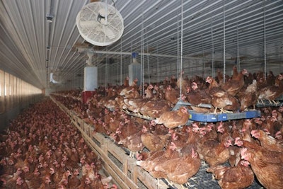 Farmers Hen House Barn