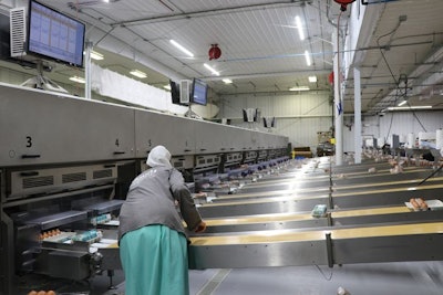 Farmers Hen House Equipment