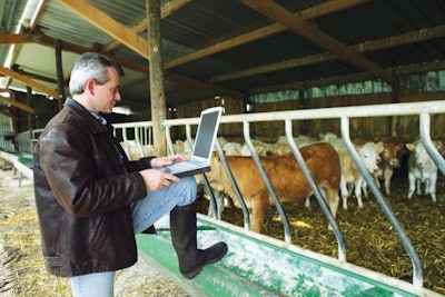 Feedlot nutritionist using formulation software