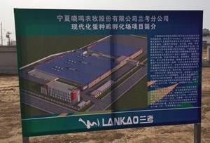 Hy-Line International distributor China