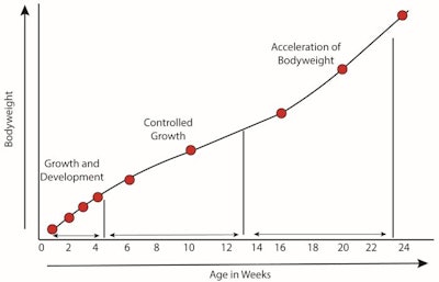 Line Graph Of Phases 03