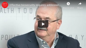 Gregorio Rosales, DVM, PhD