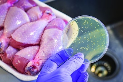Petri Dish With Chicken
