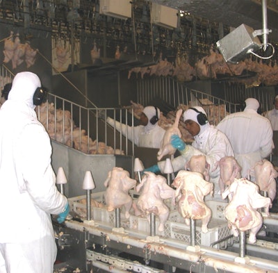 Poultry-cut-up-cones