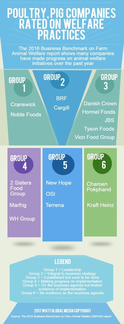Poultry Pig Companies Rated On Welfare Practices Infographic Revised