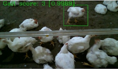 Utia Image Research Camera