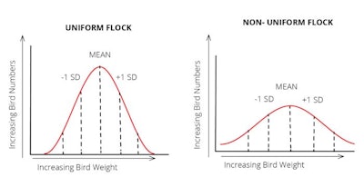 Uniformity Curves Cobb
