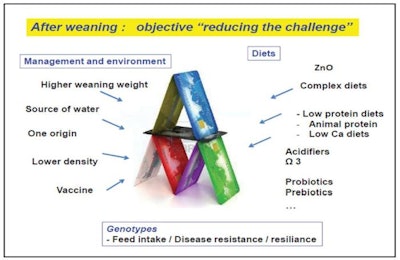 Weaning-Stress-Lallemand