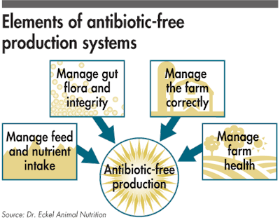 Antibiotic Free Production Solutions