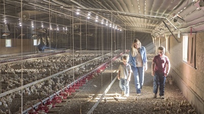 Farm Family Raising Perdue Chickens