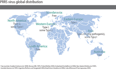global PRRS distribution