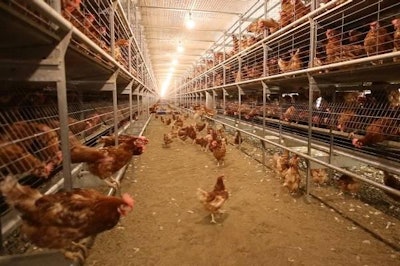 Layers Housing 1311 E Imps1