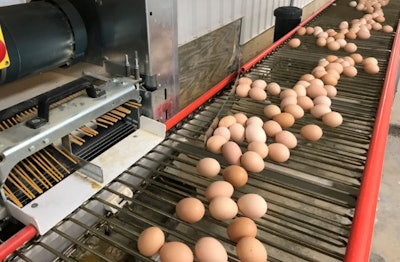 lubing-breeder-conveyor