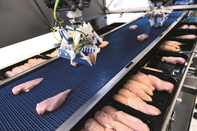 Marel Robobatcher Traypack Belt