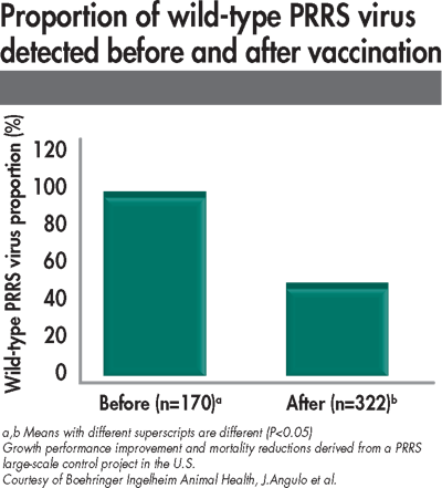 proportion of wild type PRRS detected