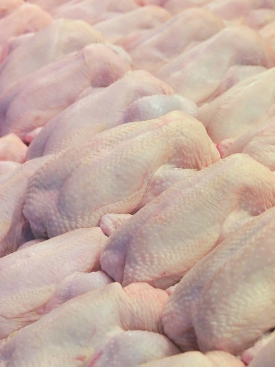 Raw Whole Chickens 2