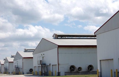Table Egg Layer Houses