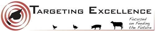 targeting excellence logo