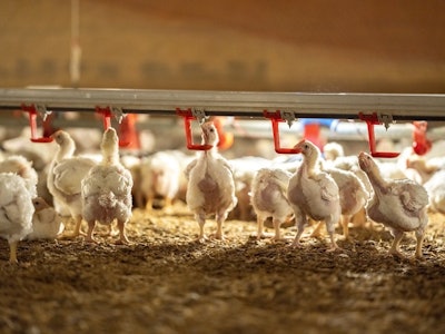 Tyson Research Farm (1)