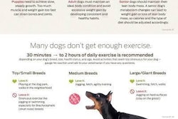 Just Right Purina Dog Obesity Infographic