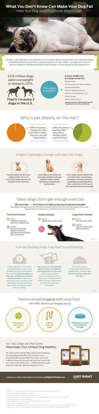 Just Right Purina Dog Obesity Infographic
