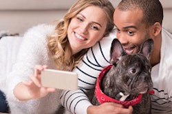 Christmas couple selfie with French bulldog