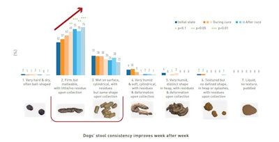 Native Phileo fecal consistency