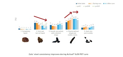Native Phileo cat fecal consistency