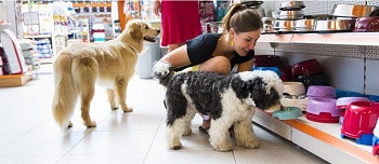 Diana Pet Food French study