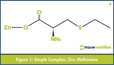 Native_Trouw_Simple Complex