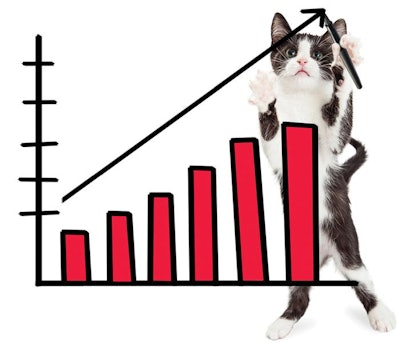 Pet-trends-2017