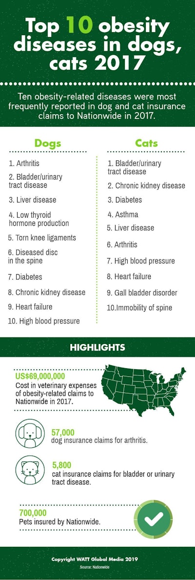 Top 10 Obesity Diseases In Dogs, Cats 2017