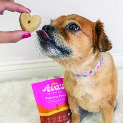 Avas Pet Palace Dog With Treat