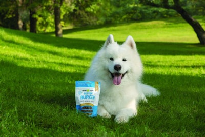 Bright Planet Dog With Blue Bag