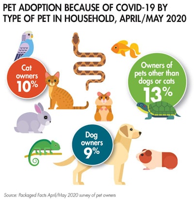 covid-19-pet-adoptions