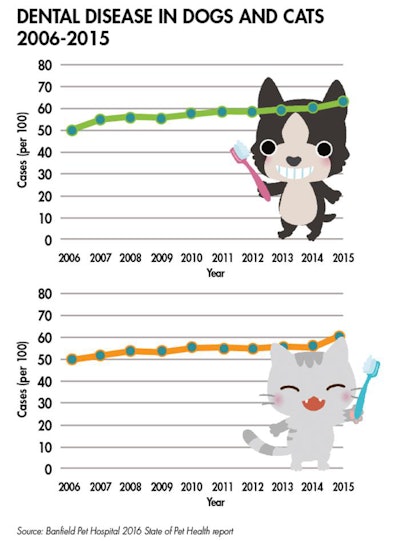 dental-disease-dog-cat