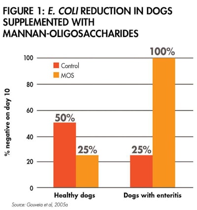 Ecoli Dogs Gut Health 1601 Pe Tgut Fig1