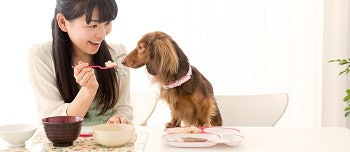 Chinese style pet food trends