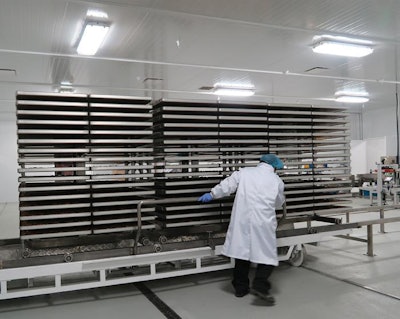 freeze-dry-trays